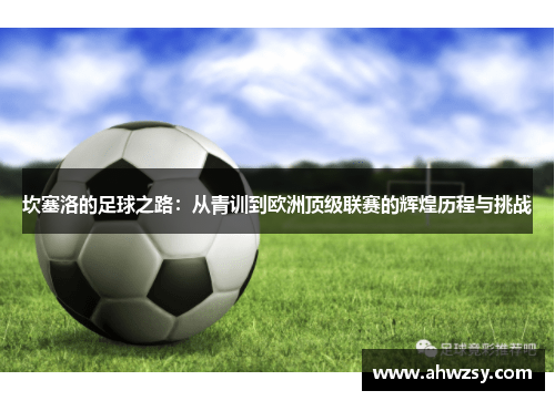 坎塞洛的足球之路：从青训到欧洲顶级联赛的辉煌历程与挑战